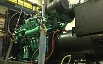 Дизель генератор 640 кВА с двигателем Cummins и генератором Stamford для завода PepsiCo