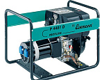 P 4401 D